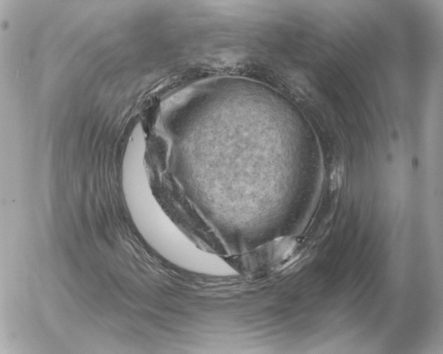 X0000052641156200507221808