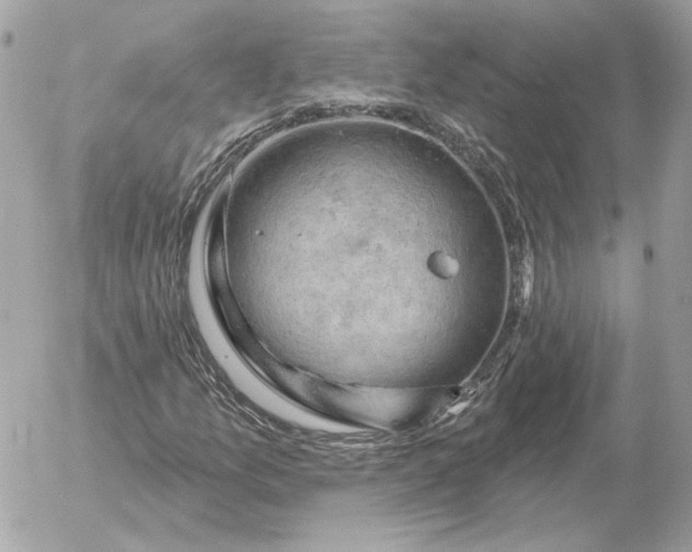 X0000052641157200507221808