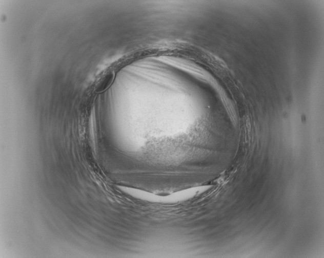 X0000052641158200507221808