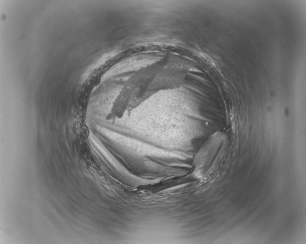 X0000052641159200507221808