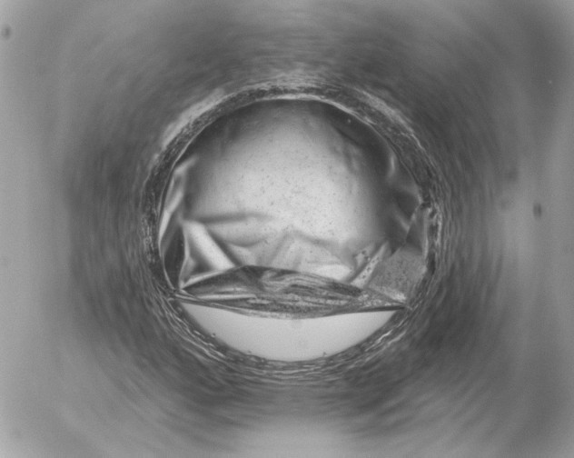 X0000052641160200507221808