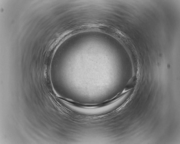 X0000052641161200507221808