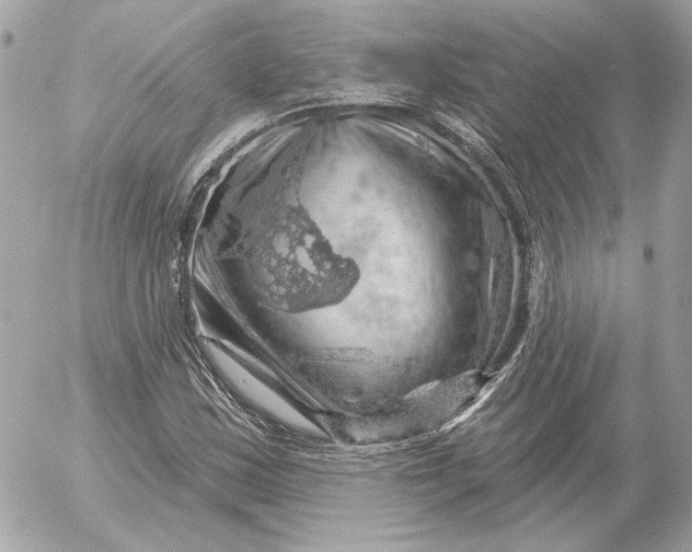 X0000052641163200507221808