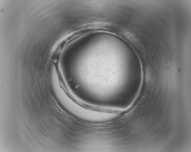 X0000052641164200507221808