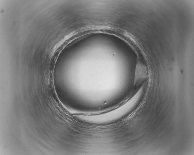 X0000052641165200507221808