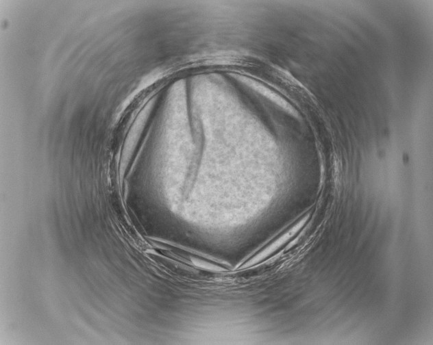 X0000052641166200507221808