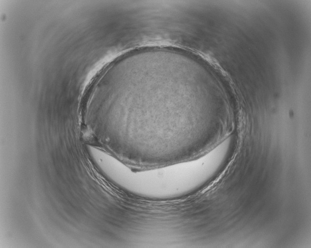 X0000052641167200507221808