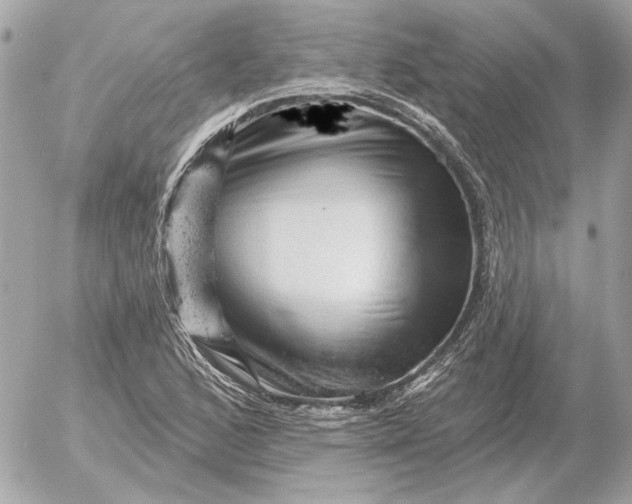 X0000052641168200507221808