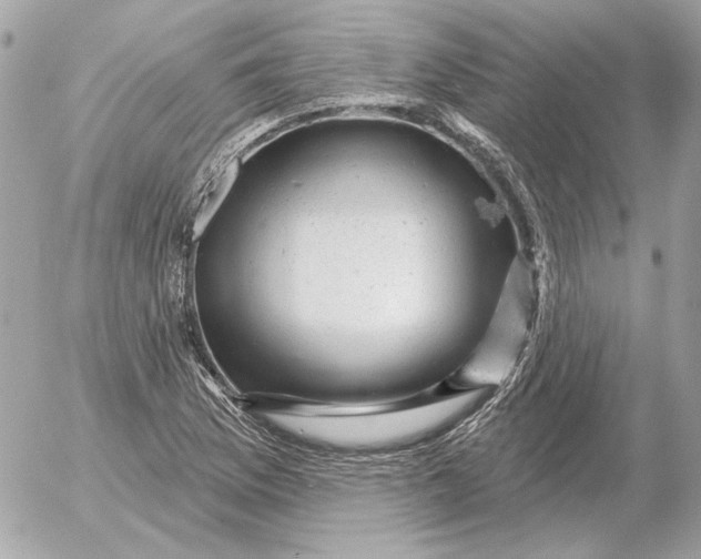 X0000052641169200507221808