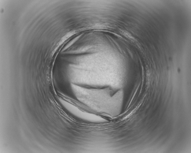 X0000052641170200507221808