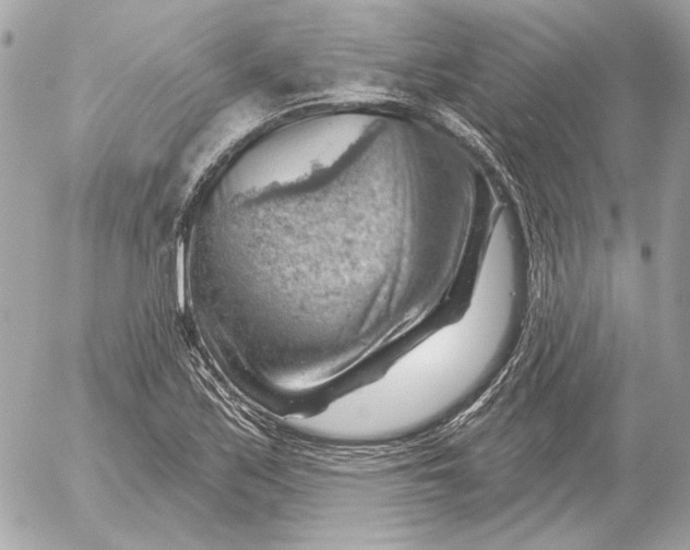 X0000052641171200507221808