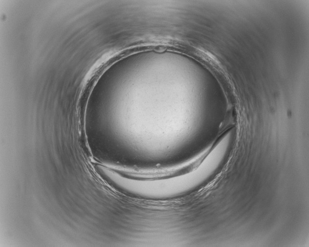 X0000052641172200507221808