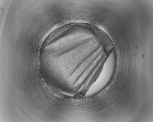 X0000052641173200507221808