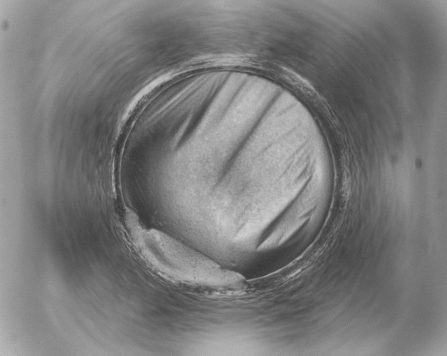 X0000052641174200507221808