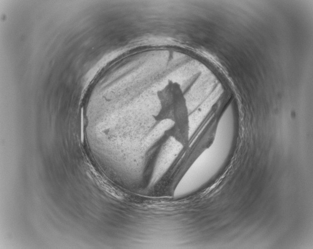 X0000052641175200507221808