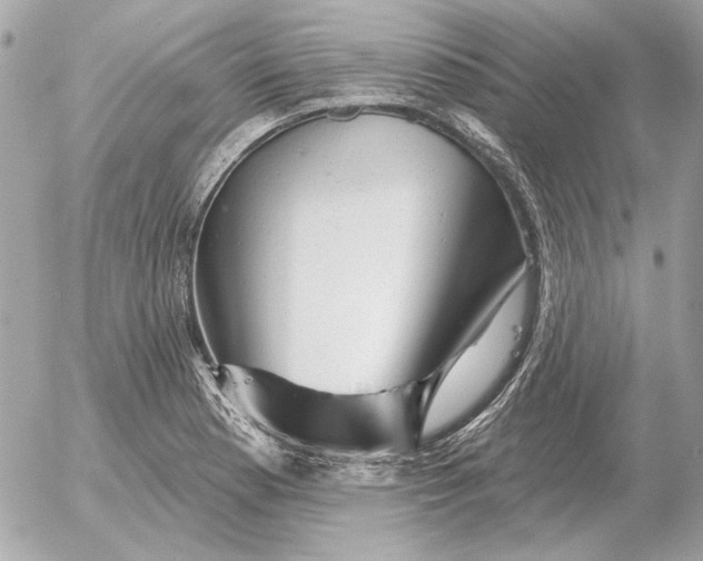 X0000052641177200507221808