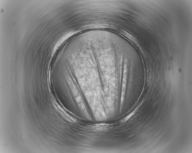 X0000052641179200507221807