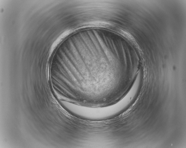 X0000052641180200507221807