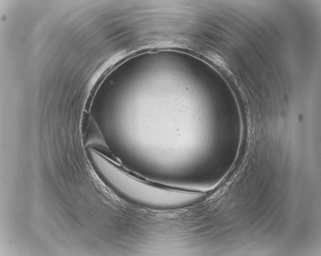 X0000052641181200507221807