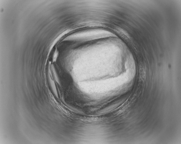 X0000052641182200507221807