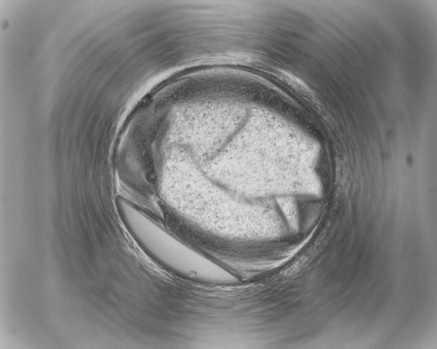 X0000052641184200507221807