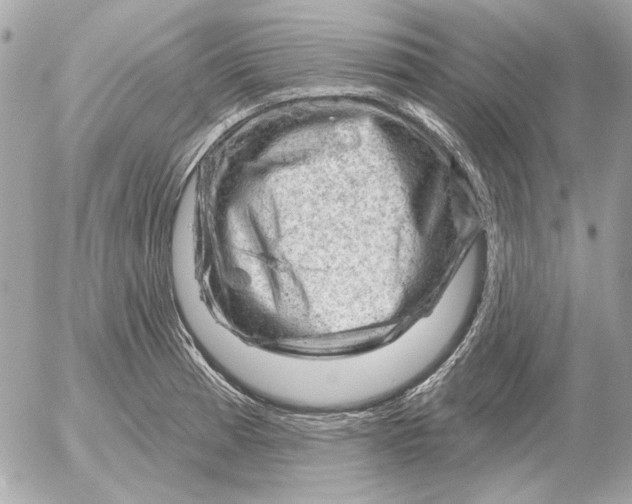 X0000052641185200507221807