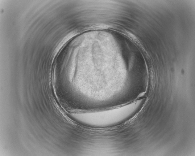 X0000052641186200507221807