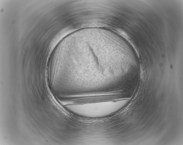 X0000052641187200507221807