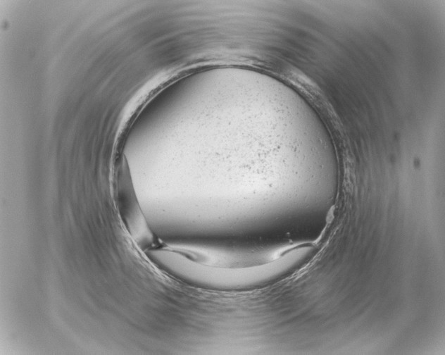 X0000052641188200507221807