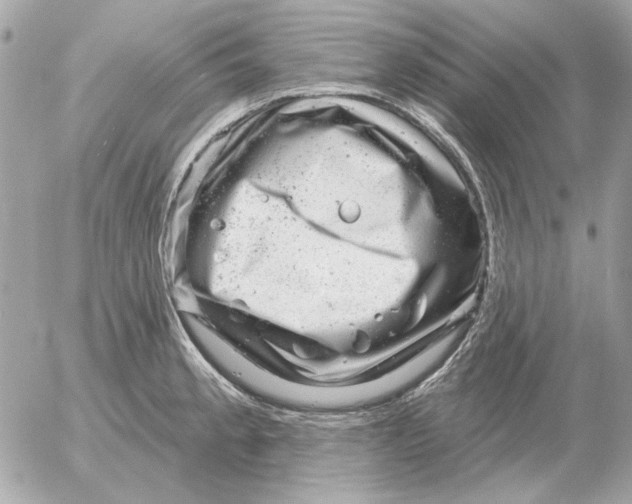 X0000052641189200507221807