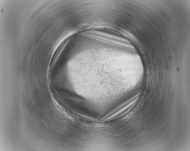 X0000052641190200507221807