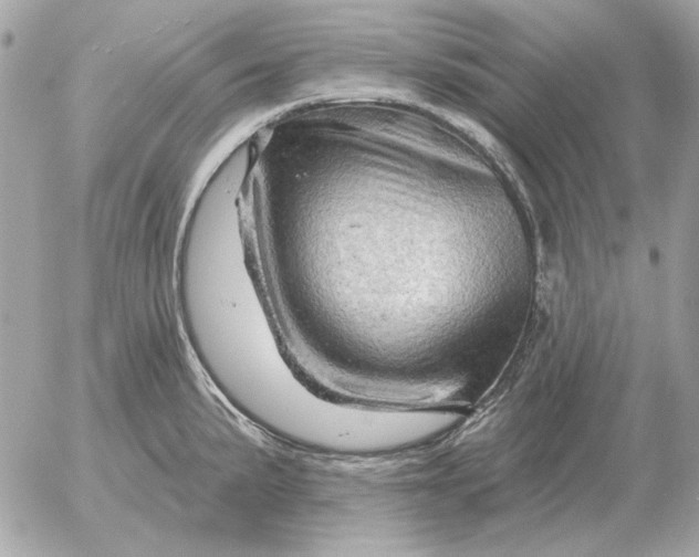 X0000052641191200507221807