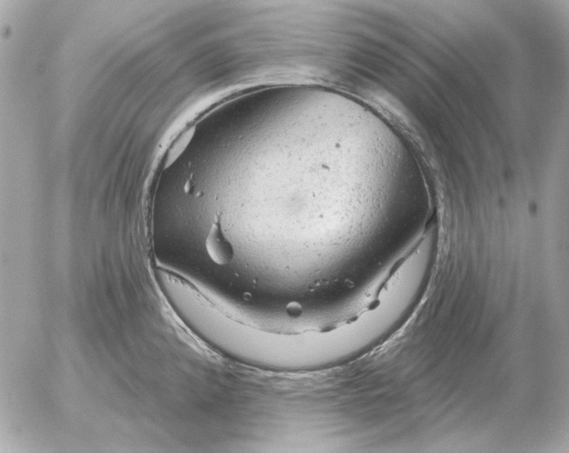 X0000052641192200507221807