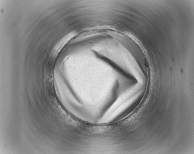 X0000052641193200507221807