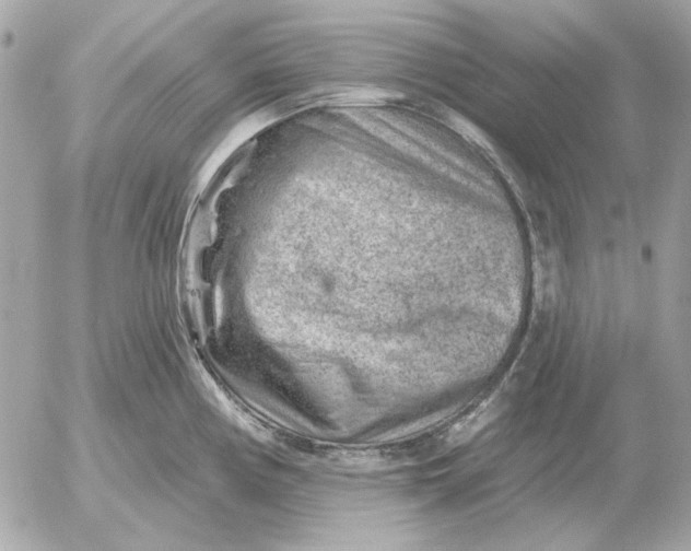 X0000052641194200507221807