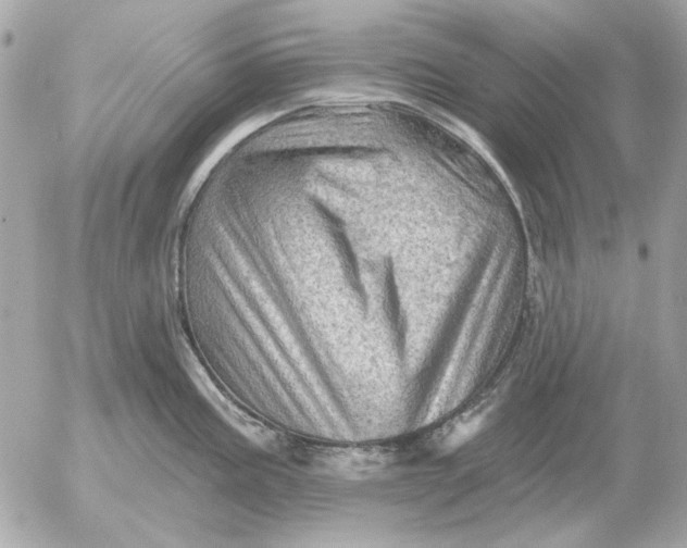 X0000052641195200507221807