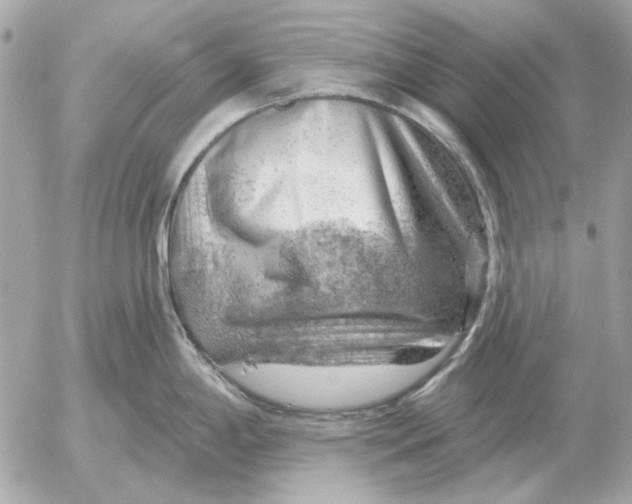 X0000052641198200507221807