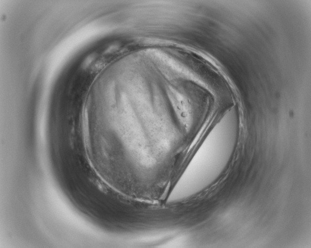 X0000052641199200507221807