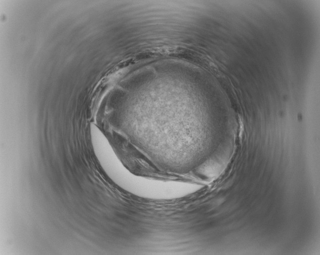 X0000052641202200507221806