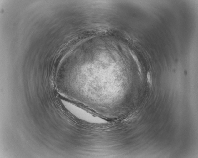 X0000052641203200507221806