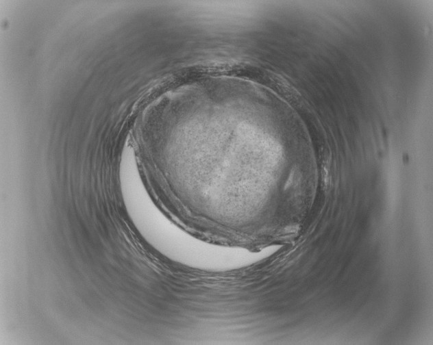 X0000052641204200507221806