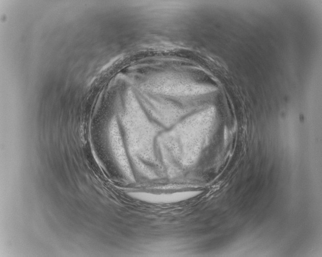 X0000052641205200507221806