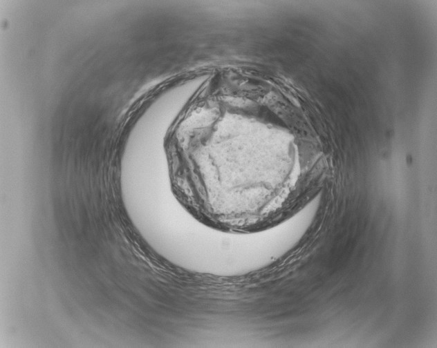 X0000052641206200507221806