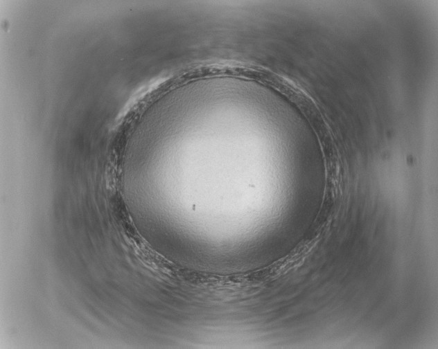 X0000052641207200507221806