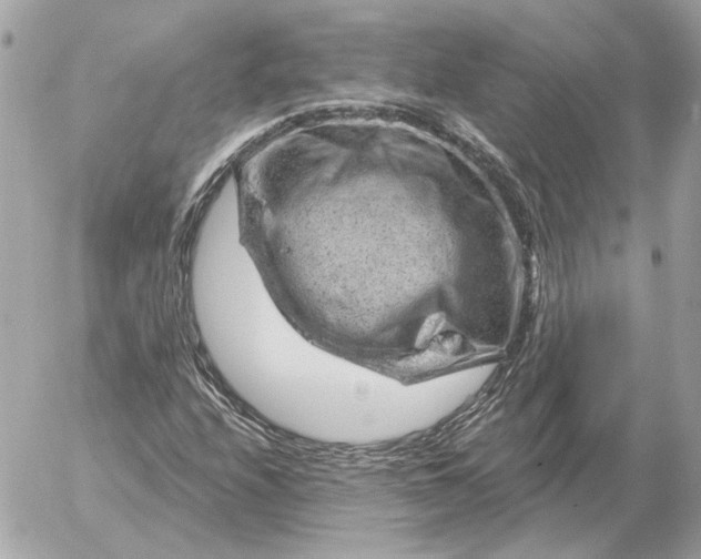 X0000052641208200507221806