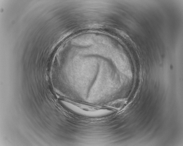 X0000052641209200507221806