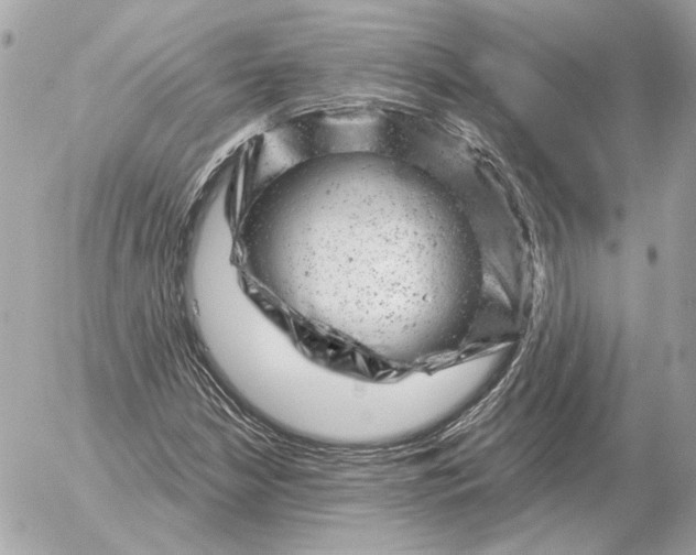 X0000052641210200507221806