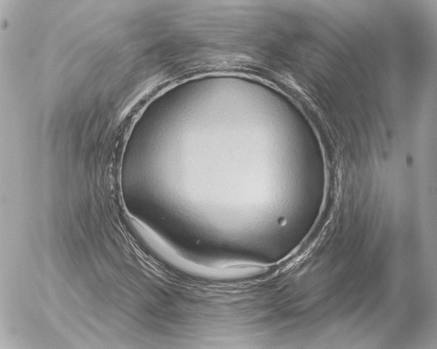 X0000052641211200507221807