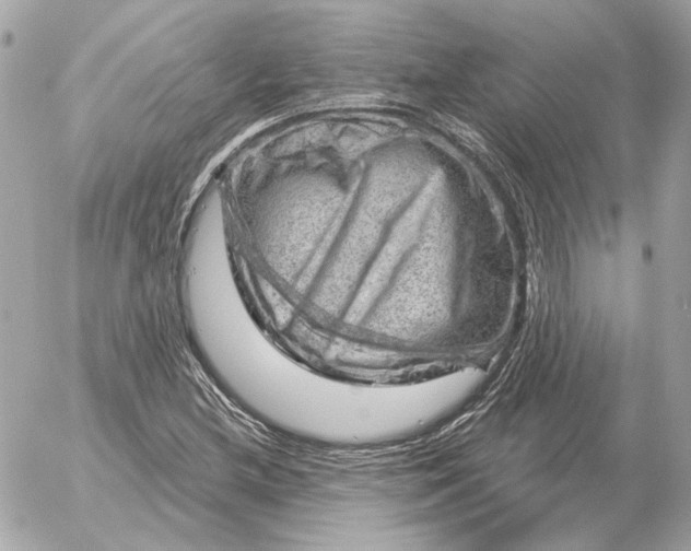 X0000052641212200507221807