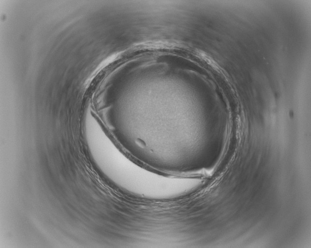 X0000052641213200507221807